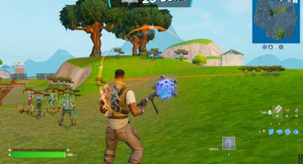 Fortnite Anarchy Wallhack Player ESP