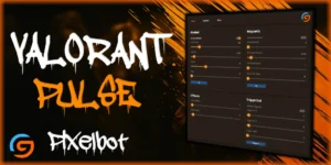 Valorant Pixelbot Pulse - AimAssist - Triggerbot